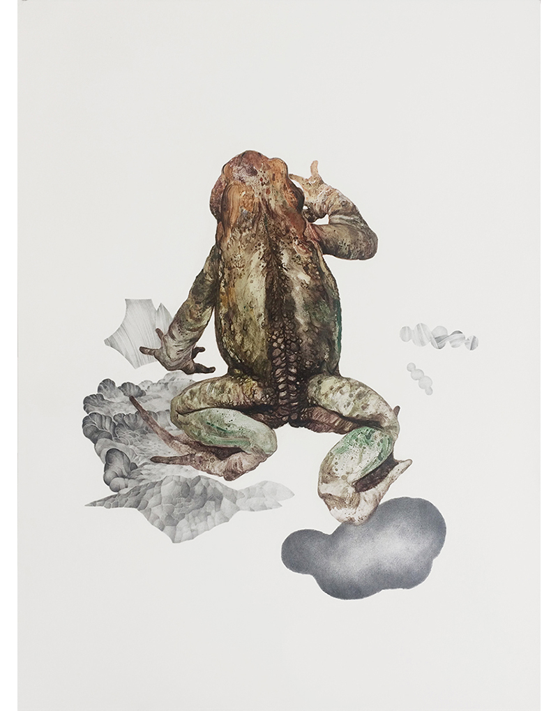 oil painting and pencil on paper, toad painting, mustererkennung,  BOOOOOOOM!